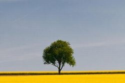 湖南虹猫信息科技有限公司选